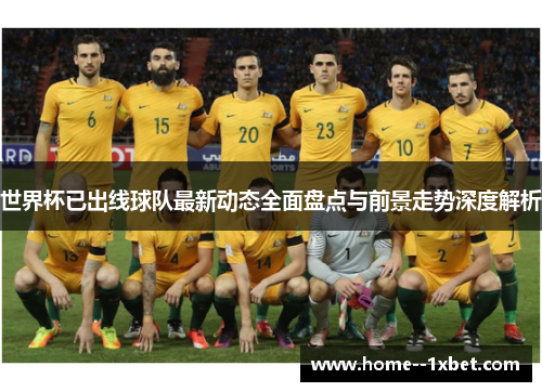 世界杯已出线球队最新动态全面盘点与前景走势深度解析