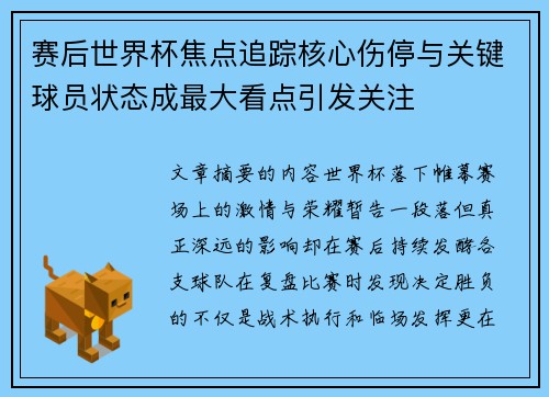 赛后世界杯焦点追踪核心伤停与关键球员状态成最大看点引发关注